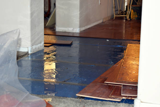 Professional Water Extraction technician working in Newport, MI